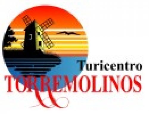 Donec Ornare Turpis Eget